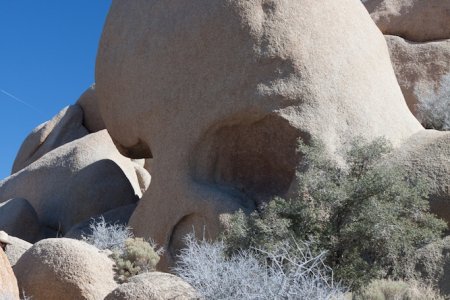 Skull rock in Joshua Tree National Park